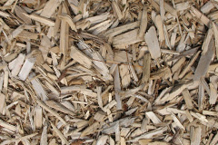 biomass boilers Llandegveth