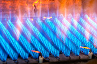 Llandegveth gas fired boilers